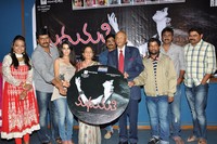 Madhumati Movie Audio Release